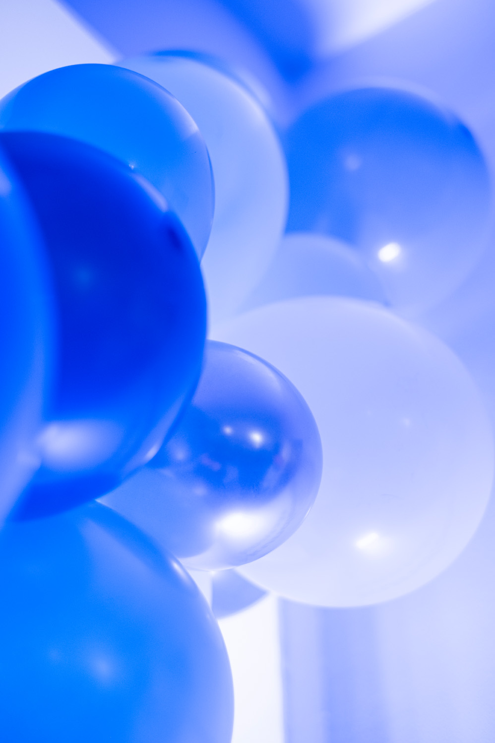 DJW_20Jahre_Fotos_gesamt_full_19